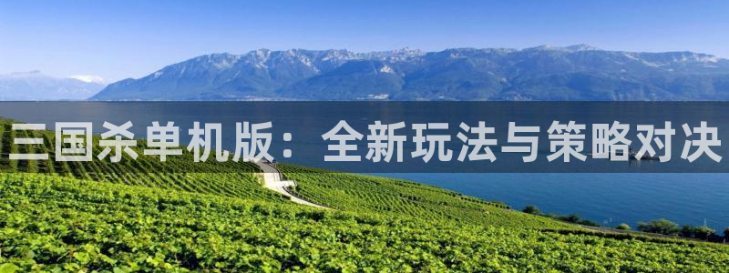 杜邦娱乐咨询：三国杀单机版：全新玩法与策略对决