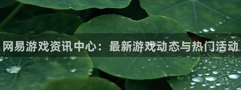杜邦娱乐登录地址：网易游戏资讯中心：最新游戏动态与热门活动
