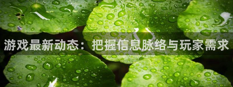 杜邦娱乐：游戏最新动态：把握信息脉络与玩家需求