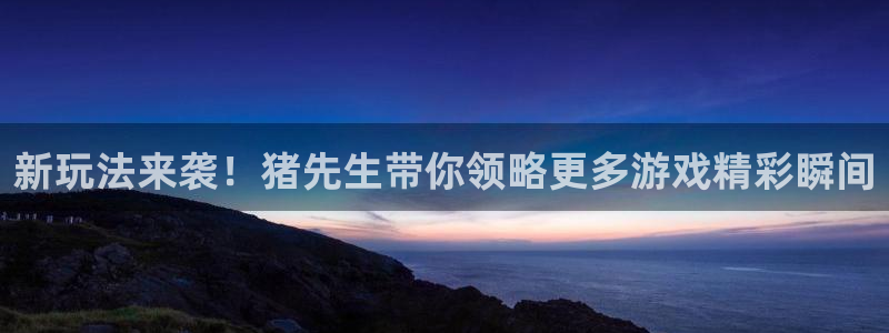 杜邦娱乐注册服务条款：新玩法来袭！猪先生带你领略更多游戏精彩