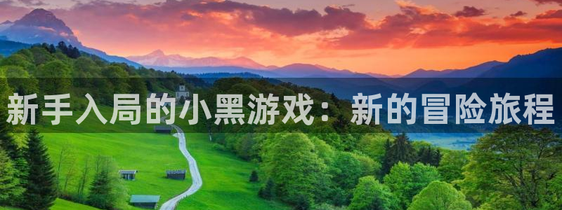 杜邦娱乐注册：新手入局的小黑游戏：新的冒险旅程