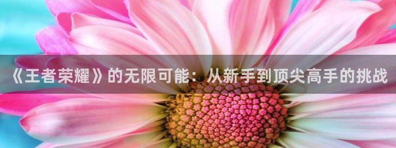 手机版杜邦娱乐客户端下载
