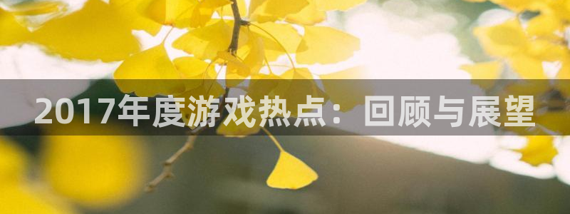 杜邦娱乐注册开户：2017年度游戏热点：回顾与展望