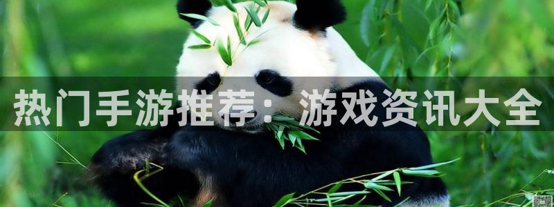 杜邦娱乐线路测试：热门手游推荐：游戏资讯大全