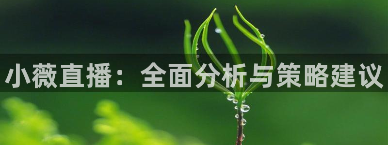 球友体育下载：小薇直播：全面分析与策略建议