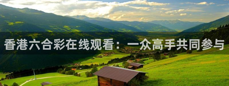qy球友会体育网站：香港六合彩在线观看：一众高手共同参与