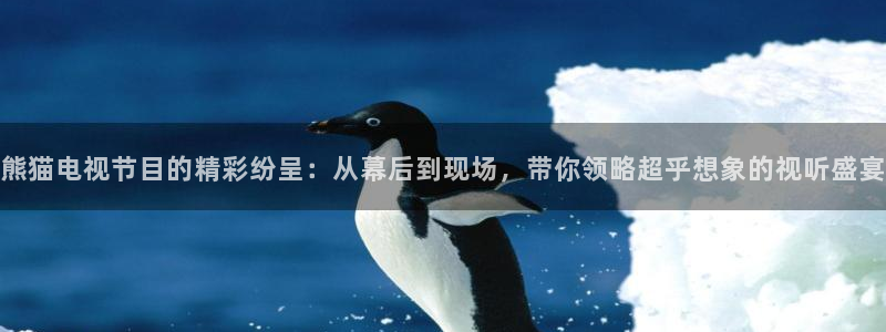 qy球友会体育网址：熊猫电视节目的精彩纷呈：从幕后到现场，带你领略超乎想象的视听盛宴