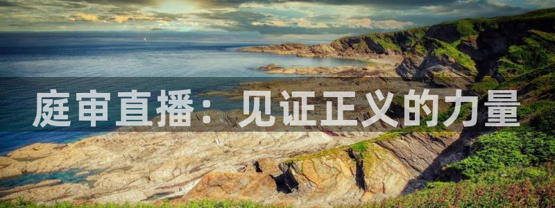 球友体育直播：庭审直播：见证正义的力量