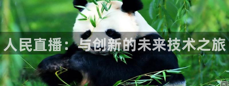 球友nba直播：人民直播：与创新的未来技术之旅