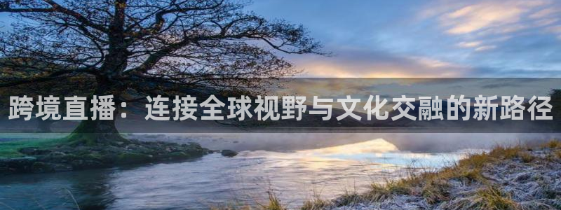球友直播平台：跨境直播：连接全球视野与文化交融的新路径