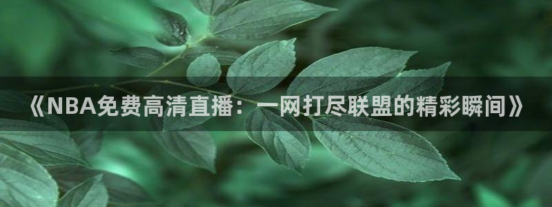 球友直播在线：《NBA免费高清直播：一网打尽联盟的精彩瞬间》