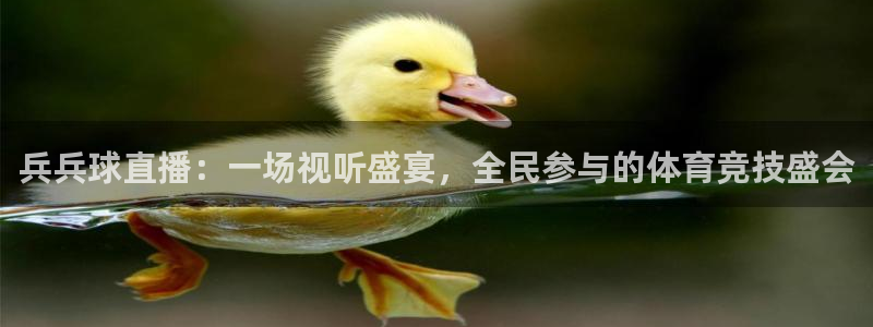 球友直播-足球篮球体育直播平台：兵兵球直播：一场视听盛宴，全民参与的体育竞技盛会