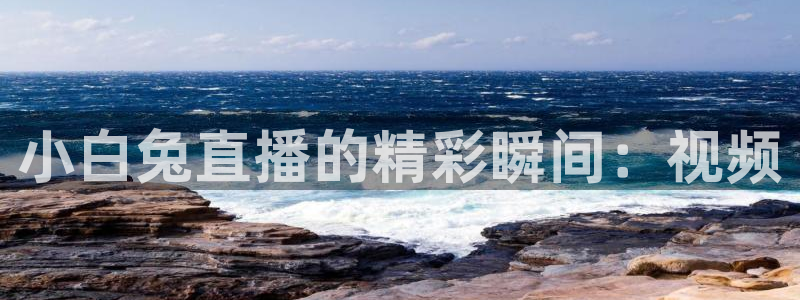 球友体育app免费看球：小白兔直播的精彩瞬间：视频